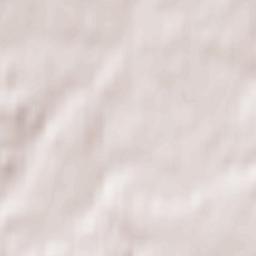 Lyubuchany Terrain Map