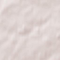 Dukhovshchina Terrain Map