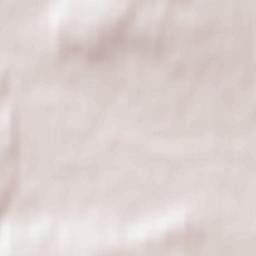 Meshcherino Terrain Map