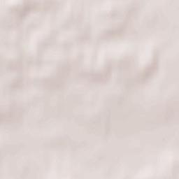 Pagėgiai Terrain Map