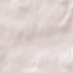 Svencionys Terrain Map