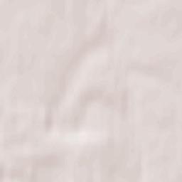 Pastawski Rayon Terrain Map