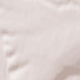 Novosheshminskiy Rayon Terrain Map