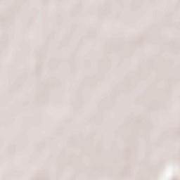 Zheleznodorozhnyy Terrain Map