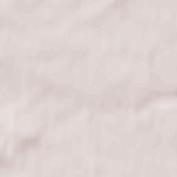 Seaton Delaval Terrain Map