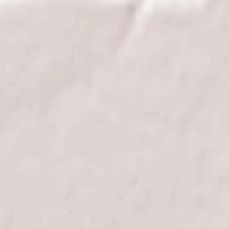 Gelgaudiškis Terrain Map