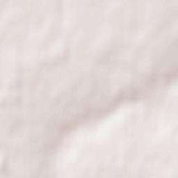 Novosibirsk Terrain Map