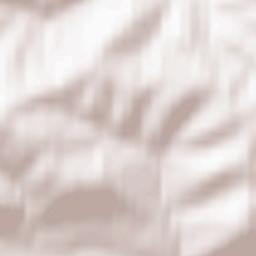 Zelenogorskiy Terrain Map