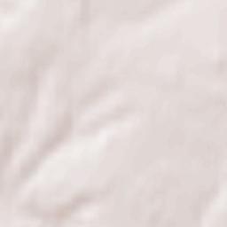 Plotnikovo Terrain Map