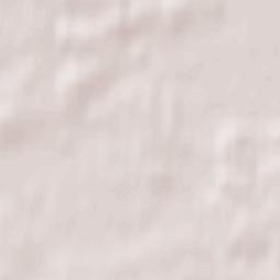 Slavskiy Rayon Terrain Map