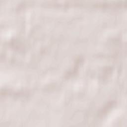 Lyoznyenski Rayon Terrain Map