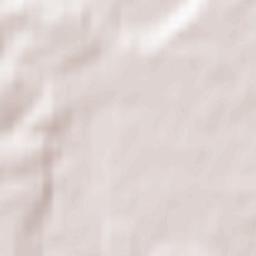 Karmėlava Terrain Map