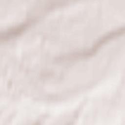 Baryshevo Terrain Map