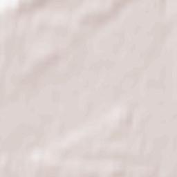 Ramučiai Terrain Map