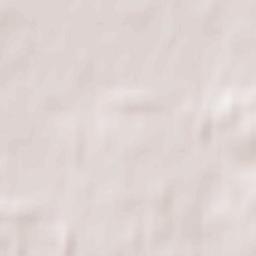 Timiryazevskiy Terrain Map