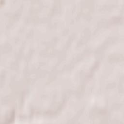 Dainava (Kaunas) Terrain Map