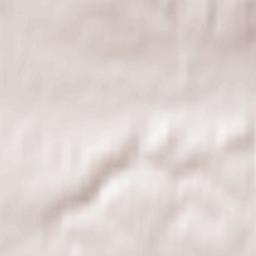 Dorogobuzh Terrain Map