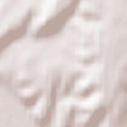 Al’met’yevskiy Rayon Terrain Map