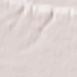 Akademija (Kaunas) Terrain Map