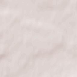 Kaišiadorys Terrain Map