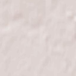 Chashniki Terrain Map