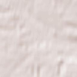 Nemenčinė Terrain Map