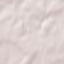 Dokshytski Rayon Terrain Map