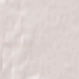 Lyepyel’ski Rayon Terrain Map