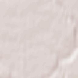 Garliava Terrain Map