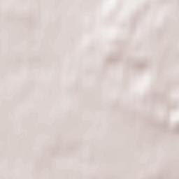 Žiežmariai Terrain Map