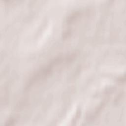 Detchino Terrain Map