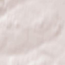 Ozherel’ye Terrain Map