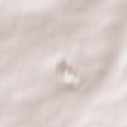 Ballyclare Terrain Map