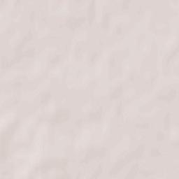 Chashnitski Rayon Terrain Map