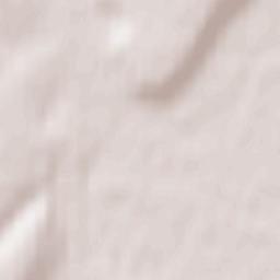 Ten’gushevo Terrain Map