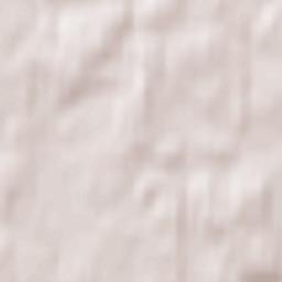 Fabijoniškės Terrain Map