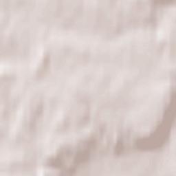 Šeškinė Terrain Map