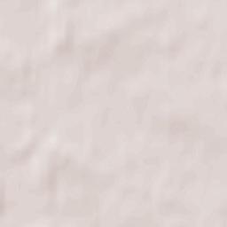 Kryvichy Terrain Map