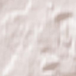 Polotnyanyy Zavod Terrain Map