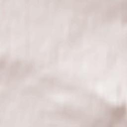 Carnmoney Terrain Map