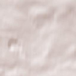 Bishop Middleham Terrain Map