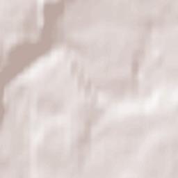 Naujamiestis Terrain Map