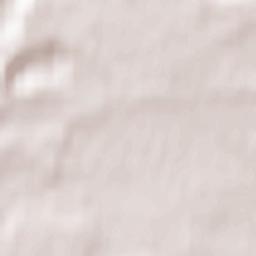 Zhiletovo Terrain Map