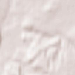 Vilkpėdė Terrain Map