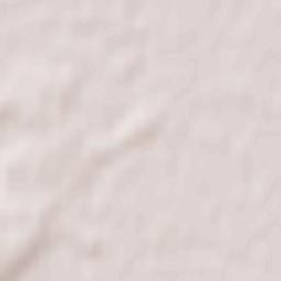 Temnikovskiy Rayon Terrain Map