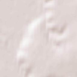 Pochinkovskiy Rayon Terrain Map