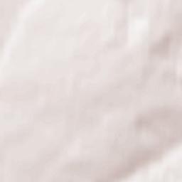 Leninsk-Kuznetsky Terrain Map