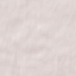 Nesterov Terrain Map