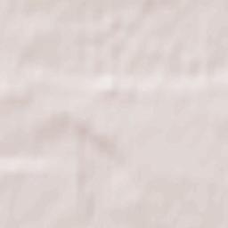 Znamensk Terrain Map