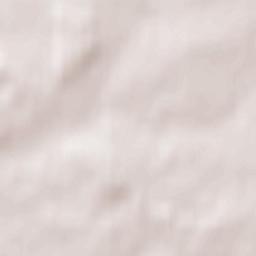 Skaidiškės Terrain Map